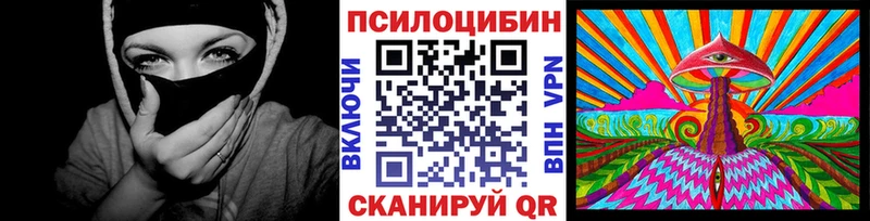 купить наркотики сайты  Новохопёрск  Галлюциногенные грибы Psilocybine cubensis 